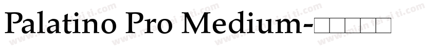 Palatino Pro Medium字体转换